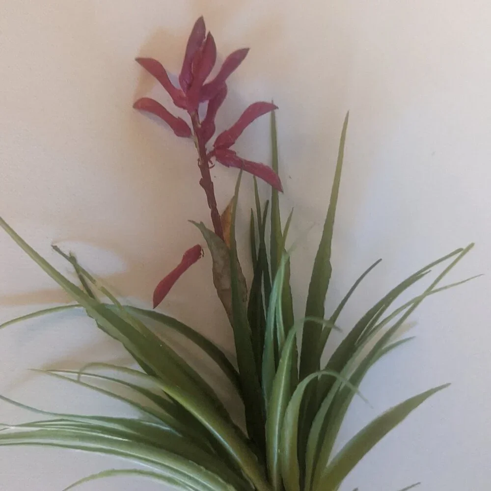 NWT Ashland 2 Spiky Tropical Round Succulent Stems Faux Floral Decor Michael's